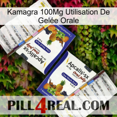 Kamagra 100Mg Utilisation De Gelée Orale 12